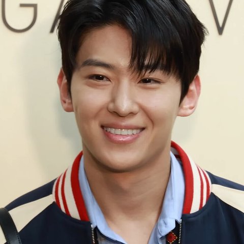 덱스