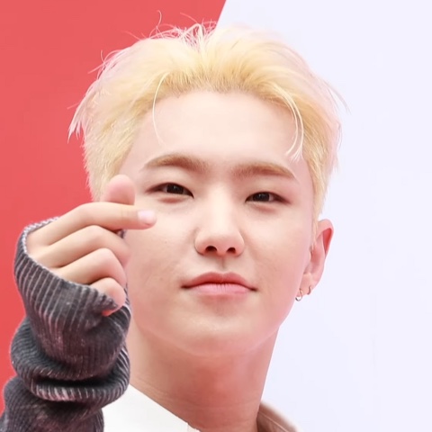 호시 프로필