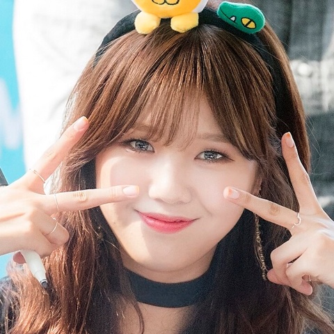 미미 프로필